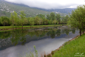 Pročitajte više o članku Drivenik & Tribaljsko jezero!
