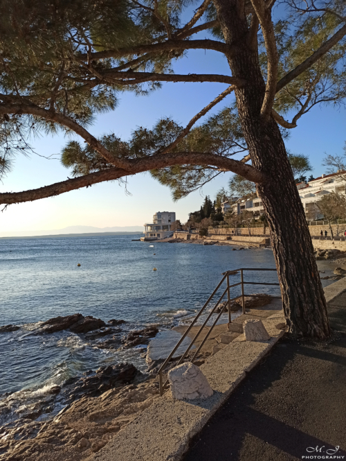 05 IMG 20200315 171926