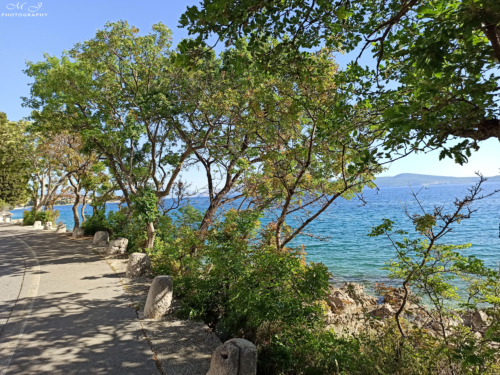 06 IMG 20200509 165312