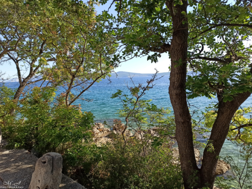 07 IMG 20200509 165254