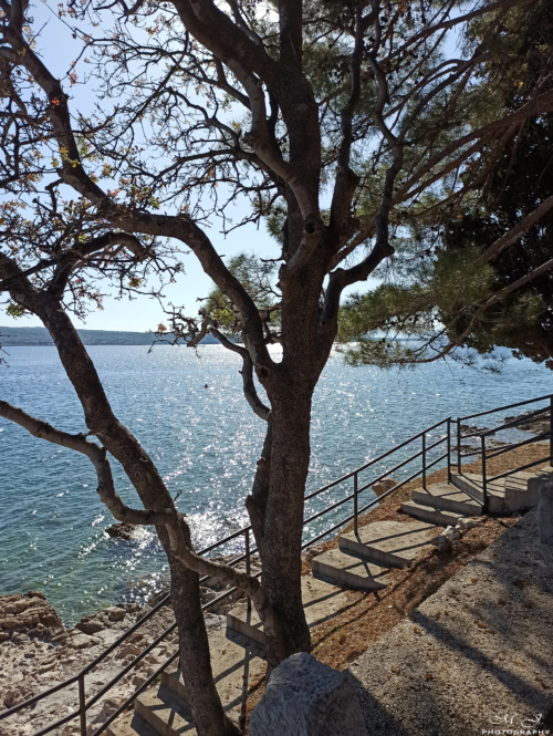 08 IMG 20200509 165435