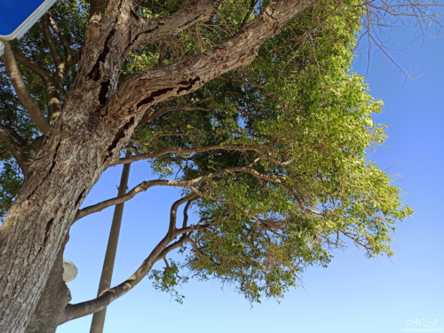 12 IMG 20200509 172726