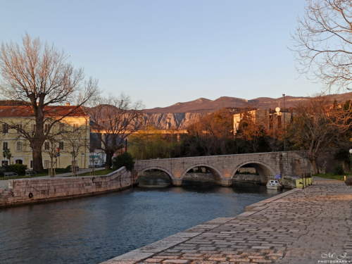 15 IMG 20200315 174749