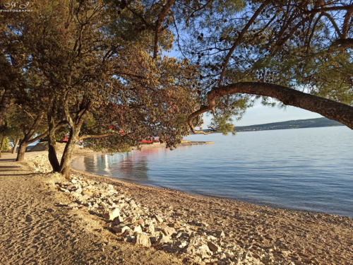 17 IMG 20200509 193029