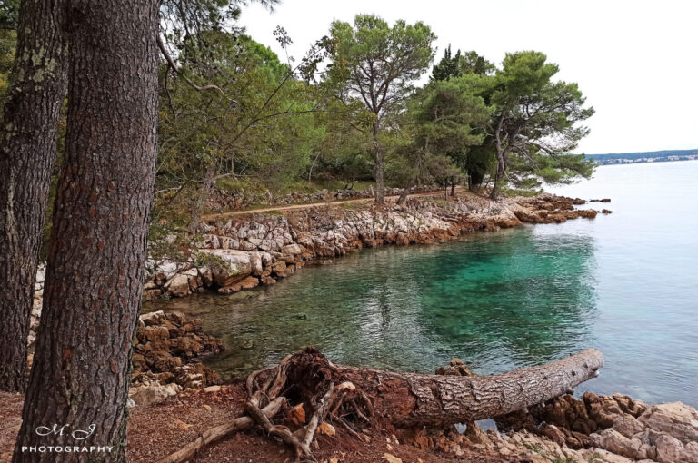 IMG_20201010_165242-2560x1699a