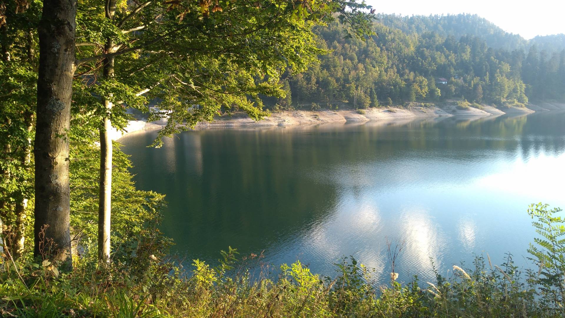 IMG 20180916 180530 scaled